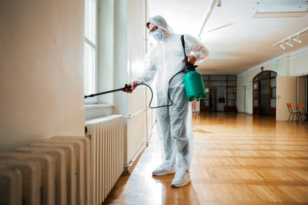 Best Fumigation Services  in Smoke Rise, AL